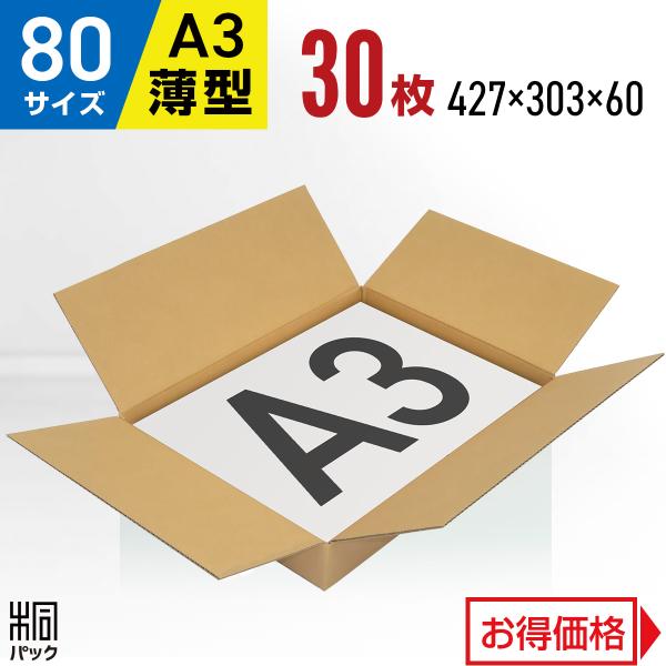 3名さま　B4サイズ　3/9までお急ぎ便 box-208_01.png?v=1648547428&