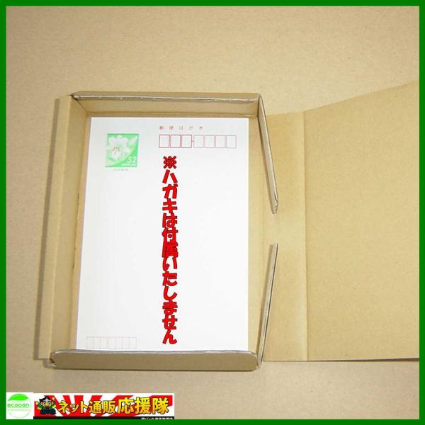 法人限定商品 ダンボール箱ゆうパケット クリックポスト用a6 ハガキサイズ 段ボール箱 500枚 外寸 160 123 29mm 3ミリ厚 代引き不可 Buyee Buyee Japanese Proxy Service Buy From Japan Bot Online