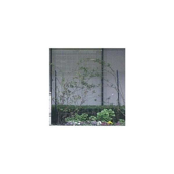 ߍ][v@J}[iVG^bLpl@wΉ@optFX@x