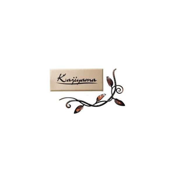  j[uXACA Zp[g NX[t IRA-173 IuWF \D͕t܂Bw\D TC ˌx