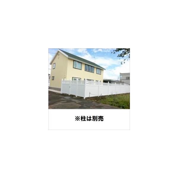 XvbhC[OY@vCoV[tFXwitheBX@PF-1@{1̉ił@wtFX@x