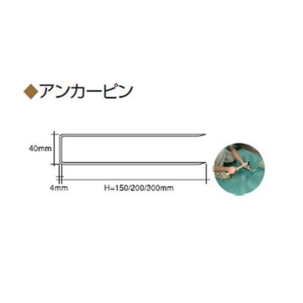 r[CtGX  A[^[t IvV    AJ[s   #5501815