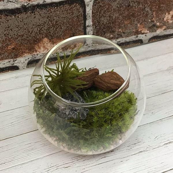 [   ۃv (͂Ȃ)   h[Lbg