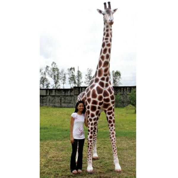 FRP　親キリン/Giraffe 12Ft.　  Fr090070  『動物園オブジェ　アニマルオブジェ　店舗・イベント向け』
