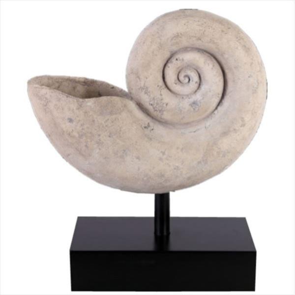 FRP オウムガイの殻(大) / Nautilus Shell Large fr100601 『恐竜