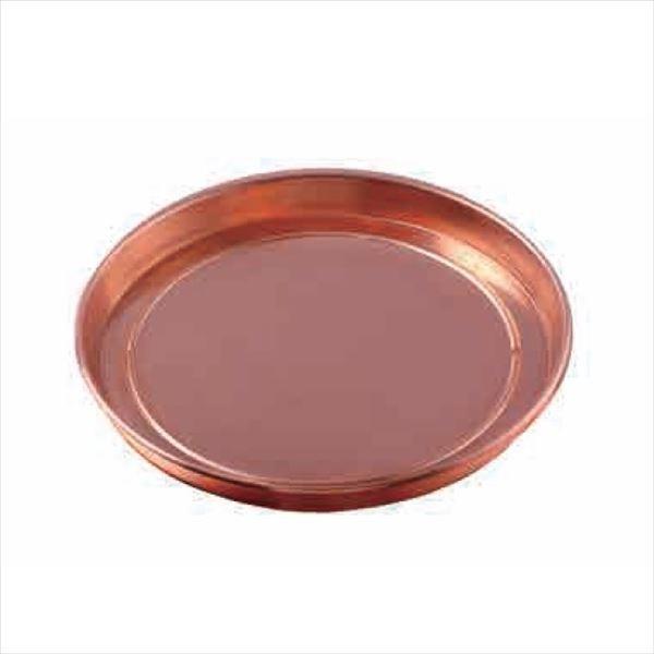 aƖ@-Ikiiki-@A󂯎M@DS-224@iC1100)@