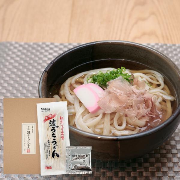 桐生うどんの里 波うちうどんセット お手軽ギフトセット 1商品各5個セット 熨斗シールを選べます