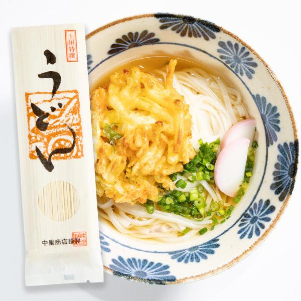 製麺工場直送 上州特撰うどん 200g×3袋 濃縮つゆ6人前 送料無料 1000円ポッキリ 【ポスト投函配送】 爆買