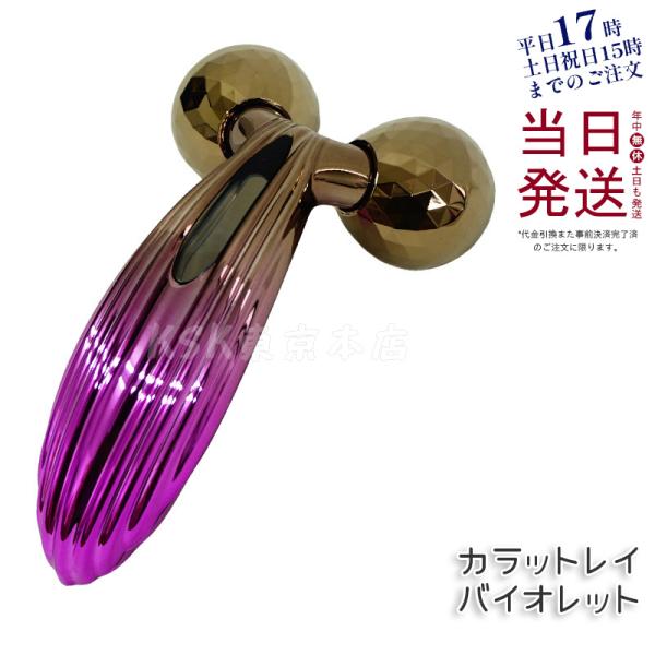 リファカラットレイ バイオレット ReFa CARAT RAY Violet 美容家電 美顔ローラー 美容器具 refa リファカラット MTG  美顔器 ギフト プレゼント 正規品 送料無料