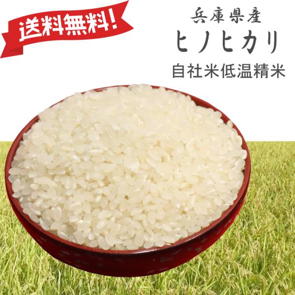 令和7年産 ヒノヒカリ 兵庫県産 ひのひかり 白米0.5kg・0.9kg・2kg・5kg・10kg 熱を加えずに、やさしい低温精米
