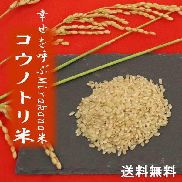 令和7年産 コシヒカリ 兵庫県産 幸せを呼ぶMirakana premium 減農薬 コウノトリ農法玄米0.5kg・0.9kg・2kg・5kg・10kg・30kg安心なお米