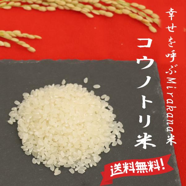 令和7年産 コシヒカリ 兵庫県産 幸せを呼ぶMirakana premium 減農薬 コウノトリ農法 白米0.5kg・0.9kg・2kg・5kg・10kg 熱を加えずに、やさしい低温精米