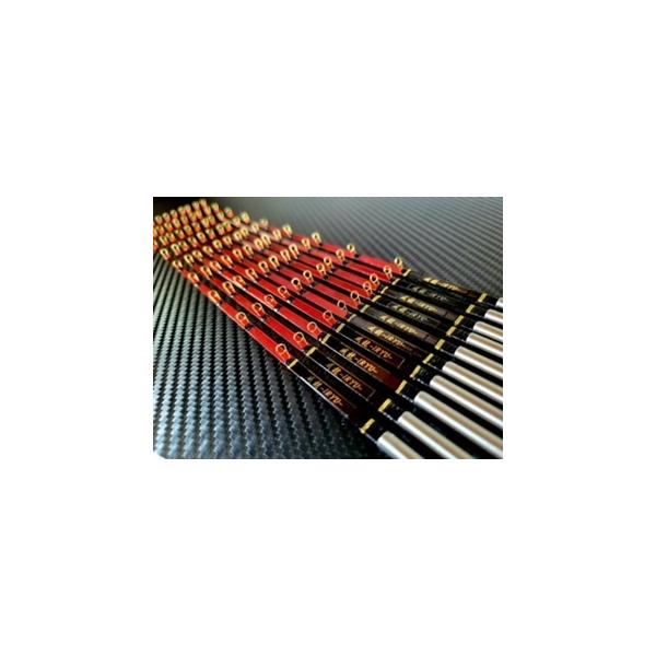 ワサカギは穂先　疾風 威龍　手元極調子 ワサカギは穂先 疾風 威龍 手元極調子 違和感から目視の釣りへ】疾風