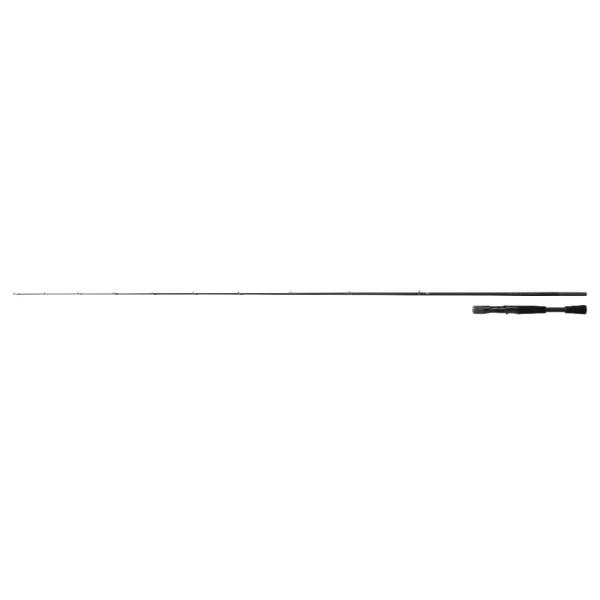 ダイワ 24ブラックレーベル C66ML-LM ダイワ バスロッド ブラックレーベル C66ML-LM (ベイト 2ピース