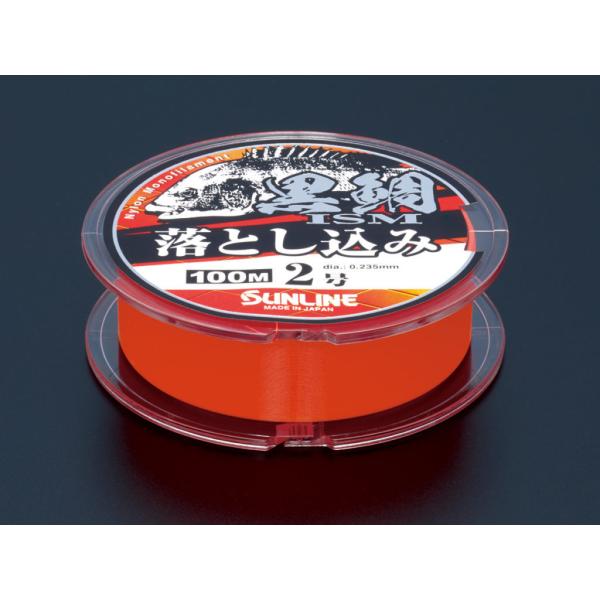 TC ISM  Ƃ 100m IW (c^Cv)2.5