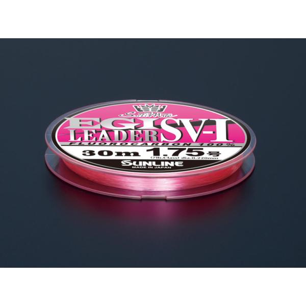 TC \eBCg GM[_[SV-I 30m 1.75