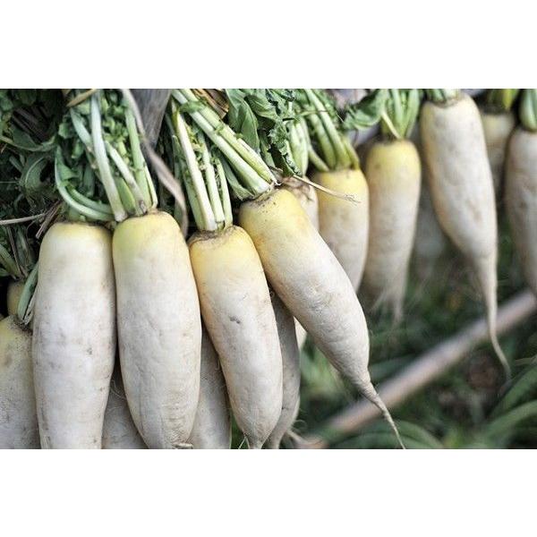 漬物用大根 葉付干し紀州大根 約10kg 12 13本入り たくあん用干し大根漬物用干し大根 Buyee Buyee 提供一站式最全面最專業現地yahoo Japan拍賣代bid代拍代購服務