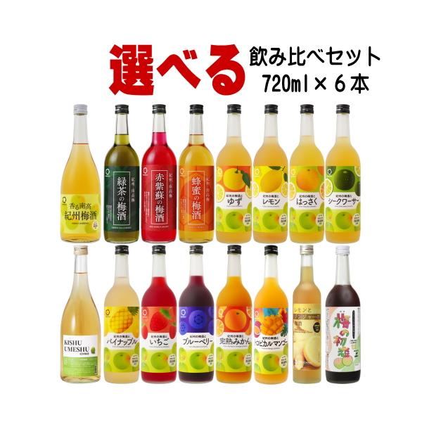中野BC 紀州の梅酒 500ml 720ml 6本 飲み比べセット 送料無料 送料込み