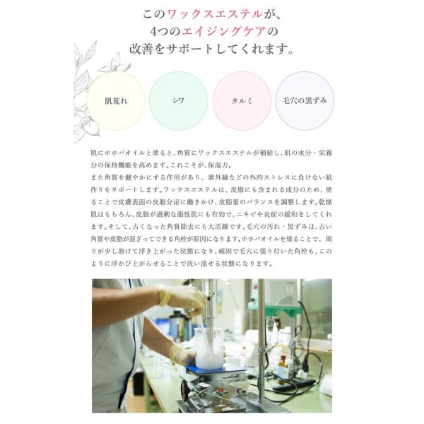 オイル オーガニック ホホバオイル 50ml エコサート認証成分 顔 ボディ ベビーオイル マッサージオイル 頭皮 マッサージ 無添加 送料無料 Buyee Buyee 提供一站式最全面最專業現地yahoo Japan拍賣代bid代拍代購服務 Bot Online