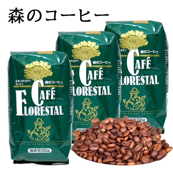カフェーパウリスタ 森のコーヒー 日東珈琲 レギュラー珈琲豆 3個