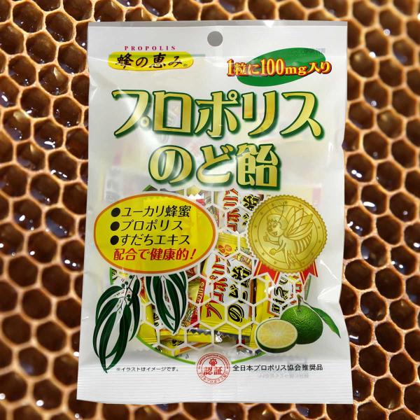 サンフローラのプロポリスのど飴は、ブラジルのユーカリの木やアレクリンという植物を餌にミツバチが作り上げたプロポリスを主原料にしたのど飴です。プロポリスとは、ミツバチが樹木の新芽や樹皮から集めた樹液に自らが分泌する唾液酵素を混ぜ合わせ、さらに...