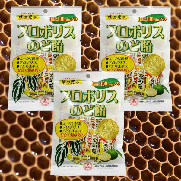 サンフローラのプロポリスのど飴は、ブラジルのユーカリの木やアレクリンという植物を餌にミツバチが作り上げたプロポリスを主原料にしたのど飴です。プロポリスとは、ミツバチが樹木の新芽や樹皮から集めた樹液に自らが分泌する唾液酵素を混ぜ合わせ、さらに...