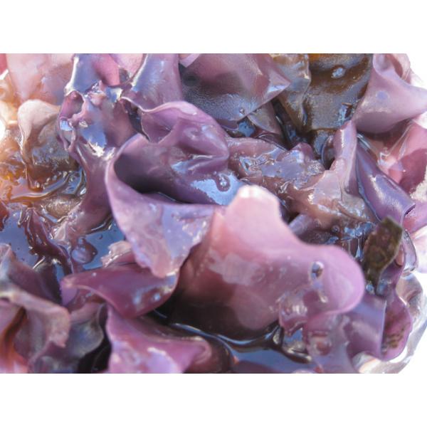 銀杏藻35g ぎんなん草 銀杏草 天然 北海道日高産 仏のみみ 福みみ ぎんなんそう 希少な逸品 味噌汁 福耳昆布 メール便対応 Buyee Buyee 日本の通販商品 オークションの代理入札 代理購入