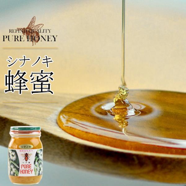 シナノキ蜂蜜 600g 化粧箱入り(シナノキはちみつ)北海道産シナノキ