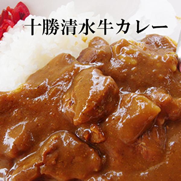 十勝清水牛カレー×2個セット≪北海道十勝清水牛使用≫(中辛)medium spicy Tokachi Shimizu Beef Curry(ご当地カレー)【メール便対応】