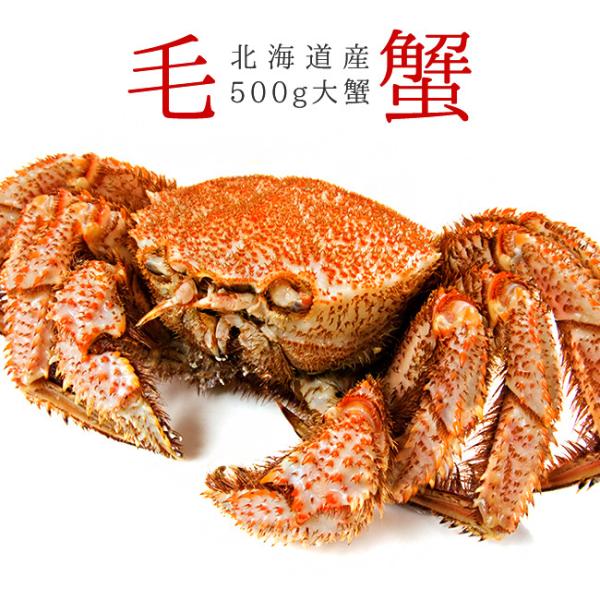 【北海道産】 訳アリ ボイル冷凍毛蟹 (約5kg) ★毛ガニ 毛がに けがに kissui_ms06684