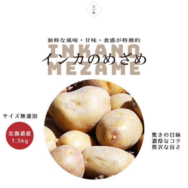 栗に似た独特の風味、濃厚な味で甘く、栗やサツマイモのような味。インカはシワになり易く芽が出やすい為冷蔵庫に保存して下さい。芽が出た場合は取り除いてからお召し上がり下さい。内容量：1.5kg(サイズ無選別)※サイズの指定は出来ません。バラつき...