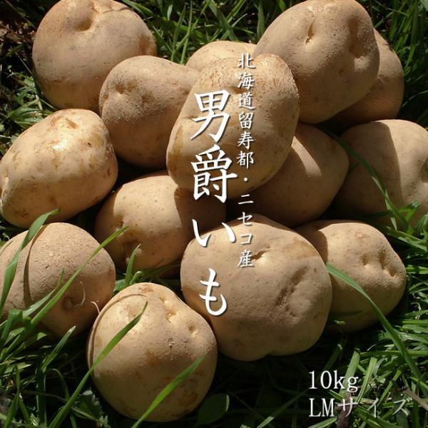 男爵いも10kg (LMサイズ) じゃがいもの代表的な品種「だんしゃくいも」北海道にある蝦夷富士とも呼ばれる羊蹄山の麓・近辺に位置するニセコ町と留寿都村。そこで収穫されたじゃがいもをお届けします!!北海道の大自然、羊蹄山近くで収穫された男爵...