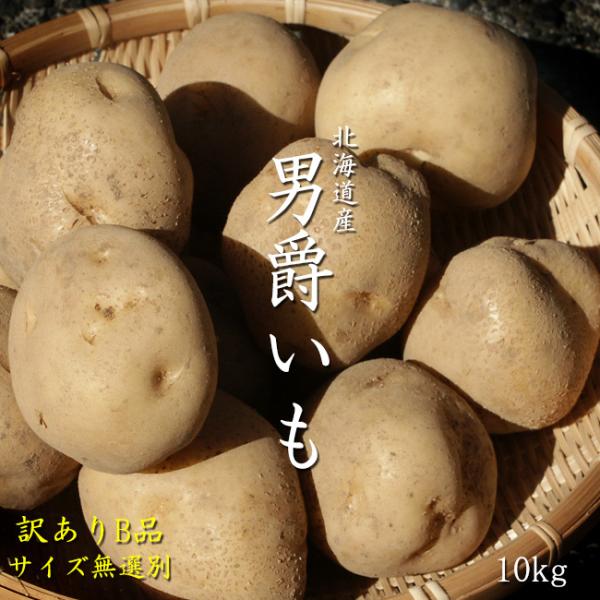男爵いも 10kg ※当商品はサイズ、変形、皮向けなどの規格外のじゃがいものため、訳ありとなっております。若干のキズやシワ、くろずみ、中に空洞がある場合がございます。訳あり商品のため、どうかご了承下さいませ。内容量：10kg 無選別（〜2L...