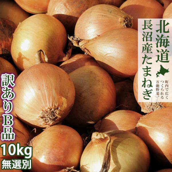 送料無料！当商品はサイズ不揃い、変形などの規格外の玉ねぎのため、訳ありとなっております。そのためご家庭で使う分には問題ありませんが、ギフトや贈り物向きではありません。※若干のキズなどがある場合がございます。訳あり商品のため、どうかご理解して...