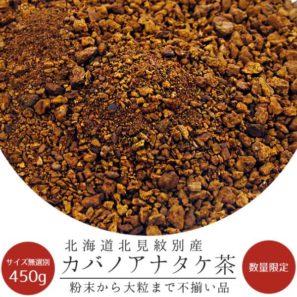 カバノアナタケ茶450g(訳有り)大きさ無選別 北海道産チャーガ茶100%キノコの一種白樺・(粉末状から大粒まで混合)ワケアリ【メール便対応】