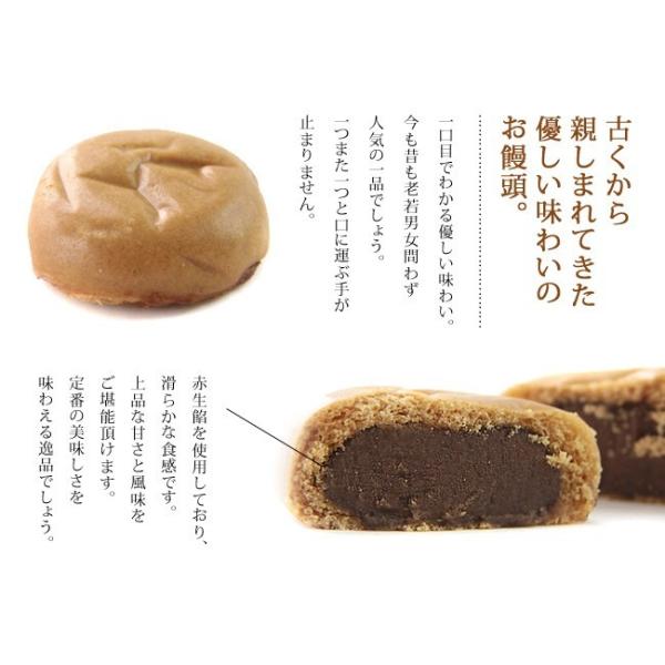 温泉まんじゅう こしあん 12個入り 昔ながらの美味しい温泉饅頭です お土産 和菓子 ギフト スイーツ おやつ お茶請け 漉し餡 Buyee Buyee 日本の通販商品 オークションの代理入札 代理購入