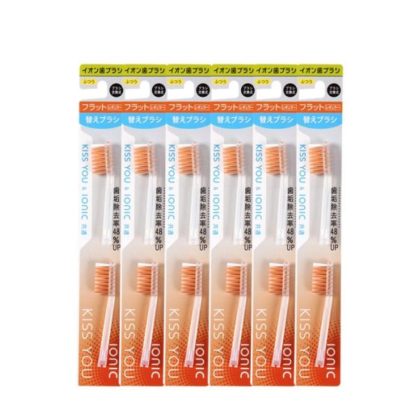 フラットレギュラー替え2本入り6セットまとめてお買い得なセット商品になります。替えブラシ月1回の交換で12本で1年分！○ブラシの特長：平らなブラシ形状＆先細ヘッドで歯面と奥歯をしっかり磨くことができます。〇かたさ：ふつう○カラー：ブルー　ピ...