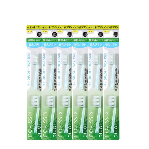極細レギュラー替え2本入り6セットまとめてお買い得なセット商品になります。替えブラシ月1回の交換で12本で1年分！○ブラシの特長：極先細毛で歯や歯ぐきの間、歯周ポケットに届きやすく、歯周病予防に効果的です。〇かたさ：ふつう○サイズ・重量・入...