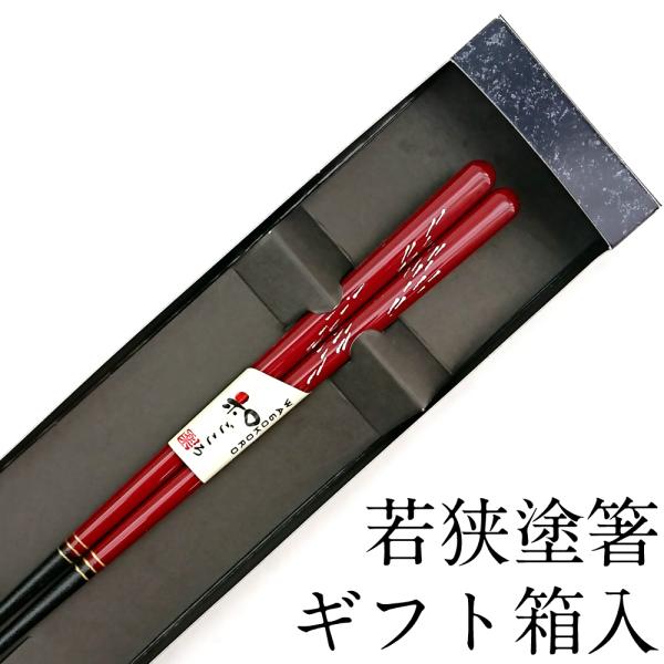 H@Ή ԉ 21cm ׂ~߉H Mtg {  q l ͂ 킢 蕨 v[g