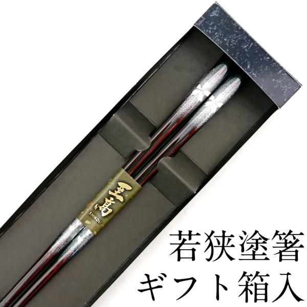  H@Ή G 23cm ׂ~߉H Mtg ͂  킢 { Mtg v[g ׂȂ ዷh 