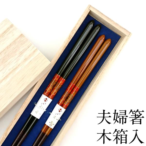 vw j Zbg ؐ  ؔ ߂Ɣ ͂  yA { Zbg Mtg v[g ዷh