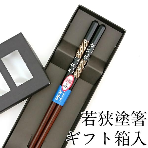  H@Ή  23cm Mtg ͂  킢