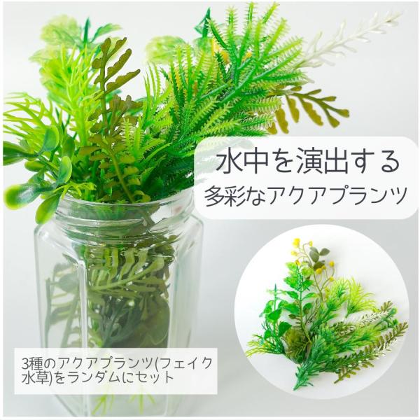 �y�H��L�b�g�z �čՂ�X�m�[�h�[���I����L�b�g �ċx�� ���R���� ���w�� ��w�N  ���w�N �a�����@�M�t�g ���w�� �j�̎q ���̎q ���i�摜5