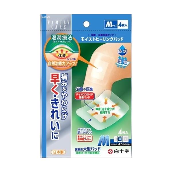 eb CXgq[Opbh l 4 [֑Ήi