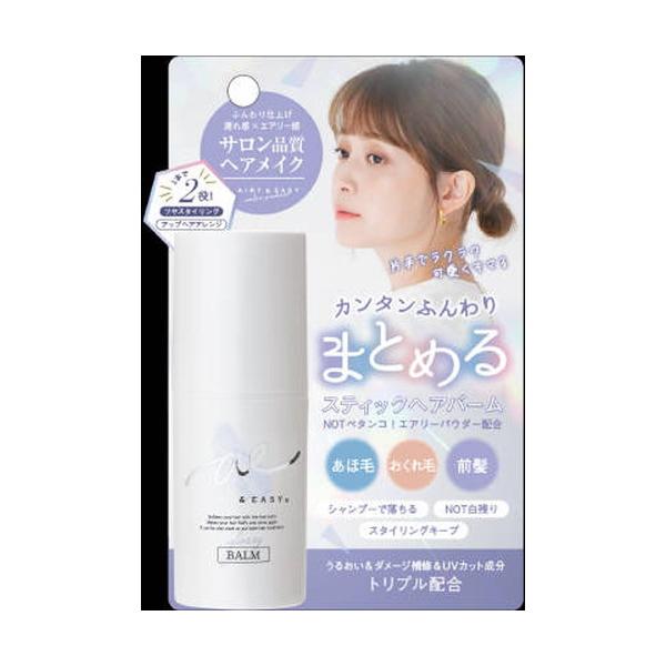 GA[C[W[ XeBbNwAo[ 19g