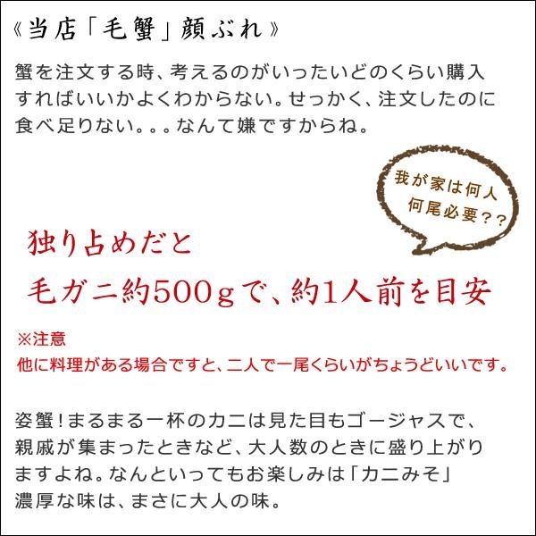 特大 12尾 毛がに 毛ガニ 北海道産 お中元ギフト 12尾入 毛がに 国産 1尾570g 北海道産 12匹セット A001 001 40 38 北の美食郭 送料無料 雄武