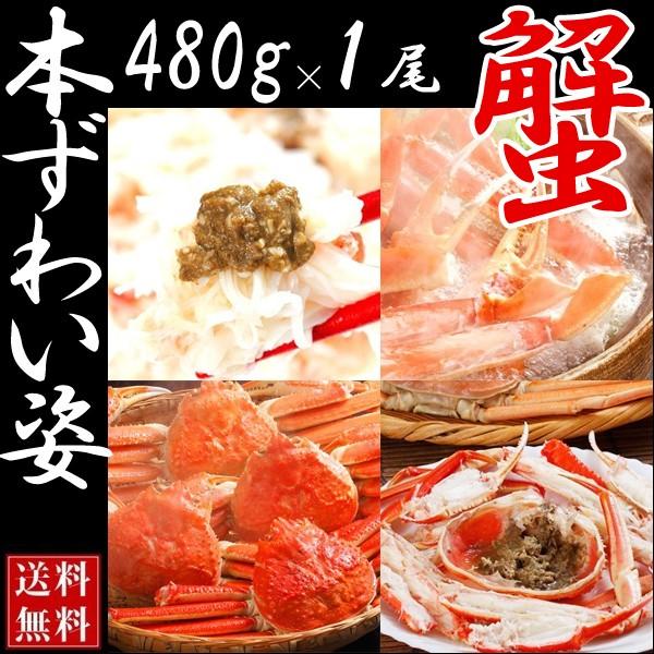 カニ かに 蟹 ズワイガニ ボイル 姿 1尾 480g ズワイ ズワイ蟹 丸ごと 送料無料 お中元 ギフト 高級 海鮮 北海道産 A001 003 01 38 北の美食郭 通販 Yahoo ショッピング