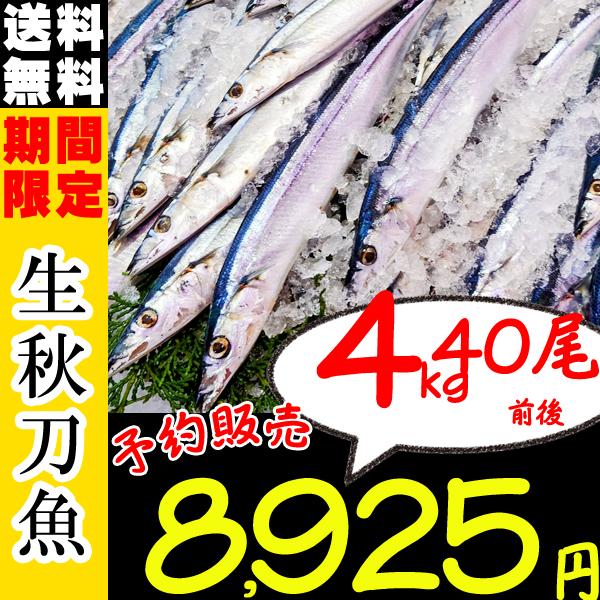 北海道産 生サンマ 航空便 翌日着 獲れたて日帰り トロさんま 大 浜呼び名 4kg 30尾前後 根室 釧路 厚岸 :A006-002-04-38:北の美食郭 - 通販 - Yahoo!ショッピング 北海道産 生サンマ 航空便 翌日着 獲れたて日帰り トロさんま 大 浜呼び名 4kg 30尾前後 根室 釧路 厚岸 :A006-002-04-38:北の美食郭 - 通販 - Yahoo!ショッピング