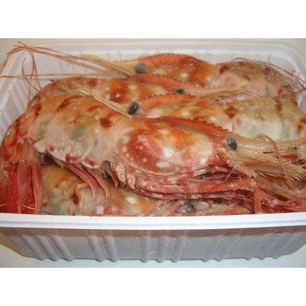 hgp{^Gr500i10OjkKlk`́сECVEڂ񂦂