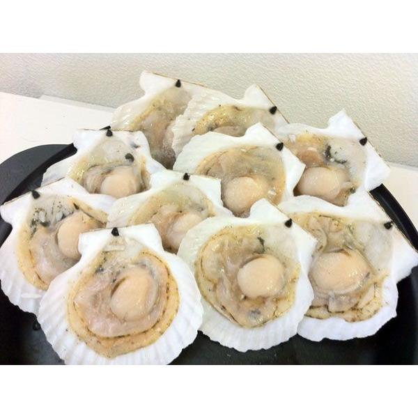 kƖpʁElklkCYЊLz^e10×10iv100ji19`10Z`jkdlk`́قāEEL